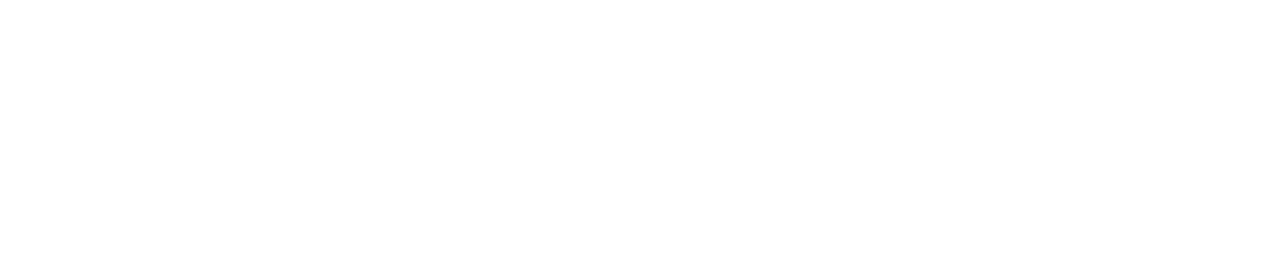 Logo white